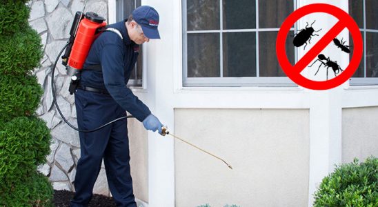 Kavaklıdere Hamam Böceği İlaçlama böcek ilaçlama ve haşere kontrolü — ilaclama-tr.com